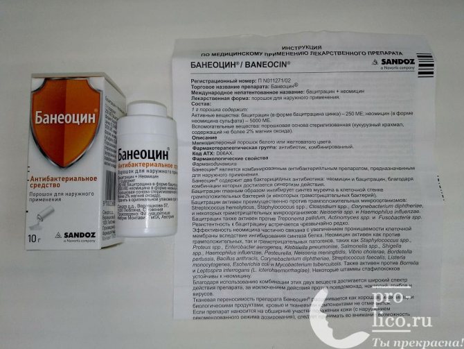 Baneocin