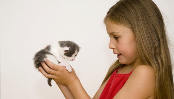 What is microsporia? Routes of infection, symptoms and treatment in children 