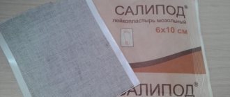 Салипод